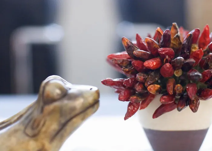 Meridiana Μαλτσεζίνε